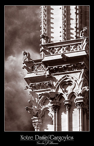 Notre Dame Gargoyles, paris photos, photography, france, city, capital