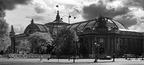 grand palais, paris photos