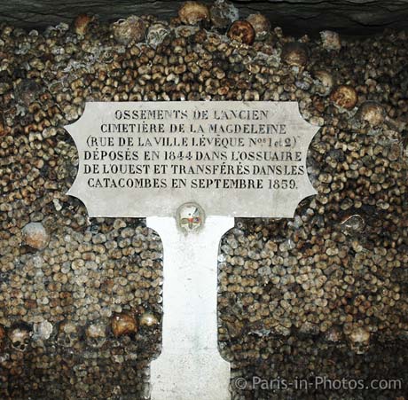 cataphile, catacombs, paris