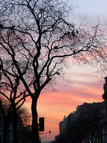 sunset in paris