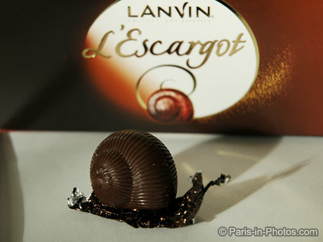 chocolate snails, escargot, france. If you're coming here for holidays be 