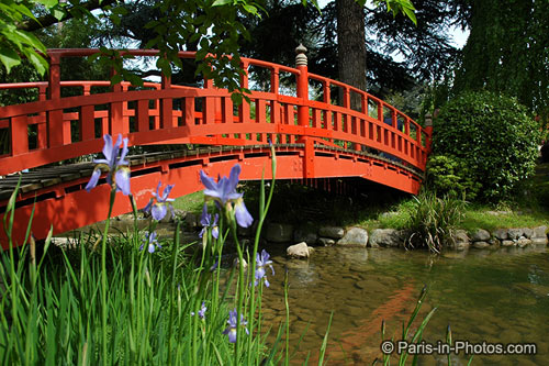 albert kahn, japanese garden albert kahn, japanese garden, bridge