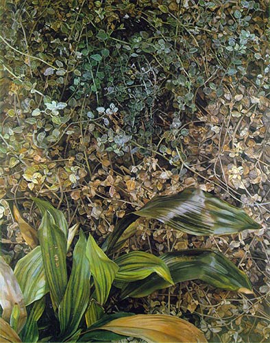 two plants, lucian freud, pompidou paris