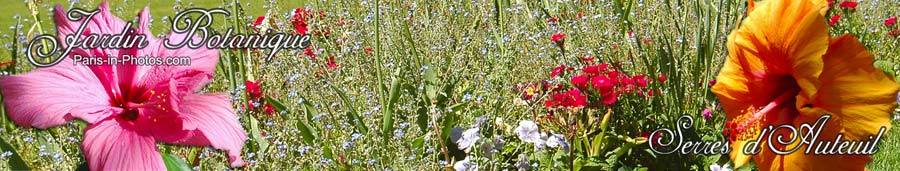 botanical garden, paris, jardin botanique, jardin des serres d'auteuil